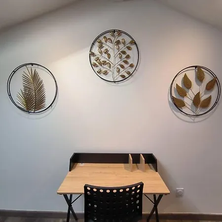 Lägenhet T2 -55m2- Elegant Et Chaleureux