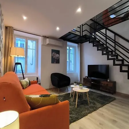 T2 -55m2- Elegant Et Chaleureux * Montbrison