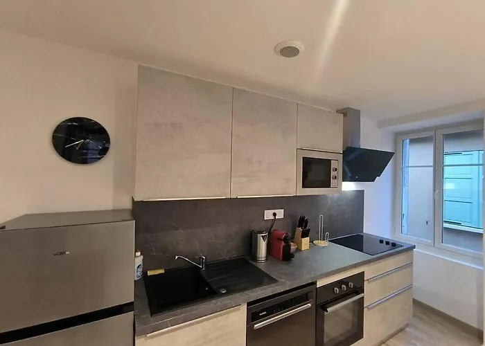 T2 -55m2- Elegant Et Chaleureux Daire Montbrison