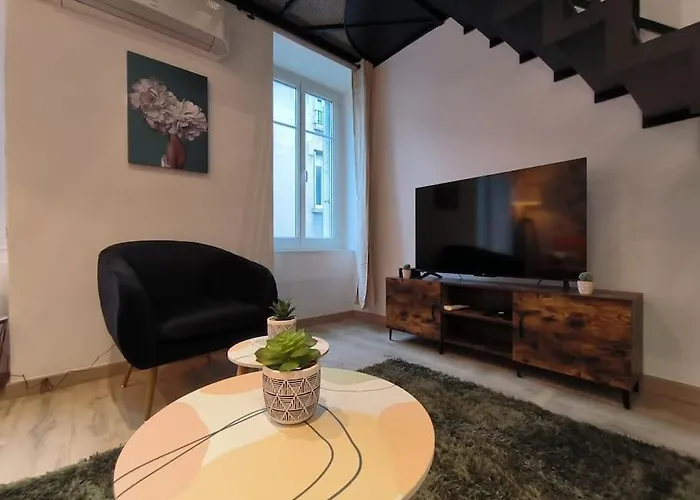 T2 -55m2- Elegant Et Chaleureux Montbrison