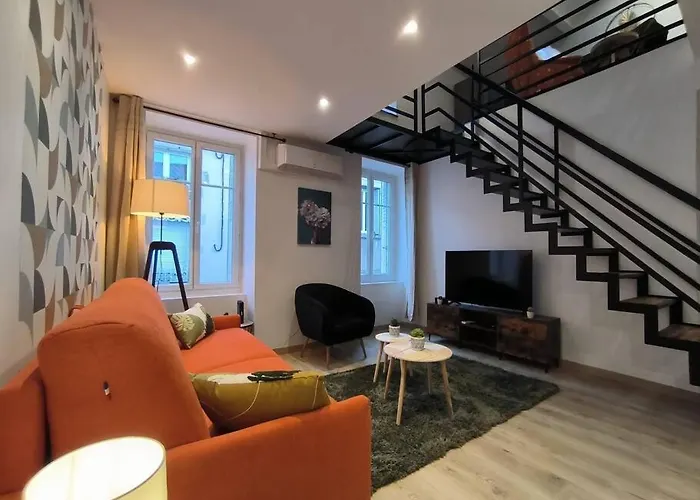 T2 -55m2- Elegant Et Chaleureux * Montbrison